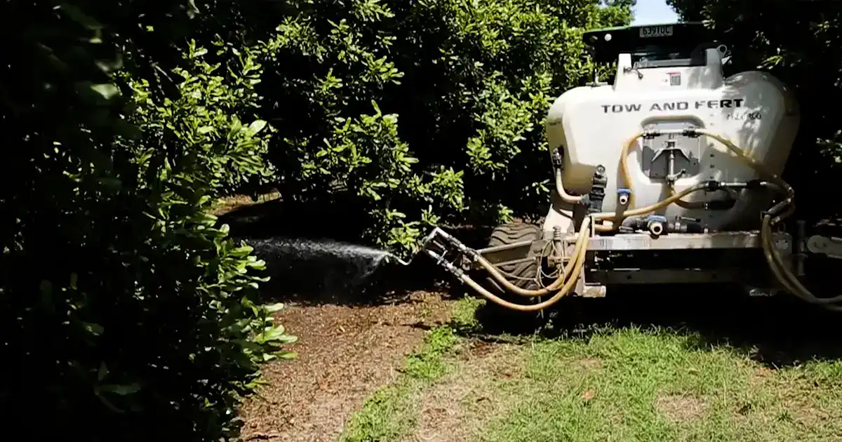 Tow and Fert Multi 1200 machine spraying along a row of macadamia trees on Jason Klotz's orchard in Bundaberg, QLD